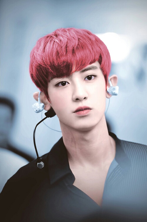 朴灿烈.ChanYeal.EXO