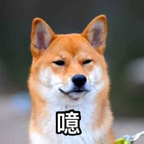 分享一套柴犬无水印表情包↓
今天的我也是如此英俊[doge]
（表情包制作by@我差不多是一只废柴了 ）