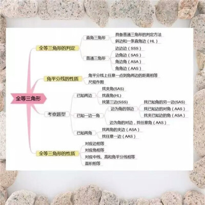 数学全等三角形