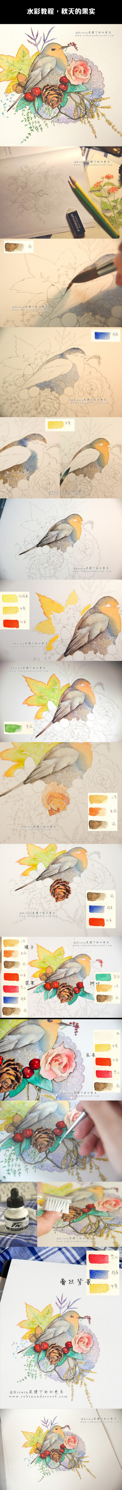 【绘画教程】水彩教程，秋天的果实，图源KIRARA
