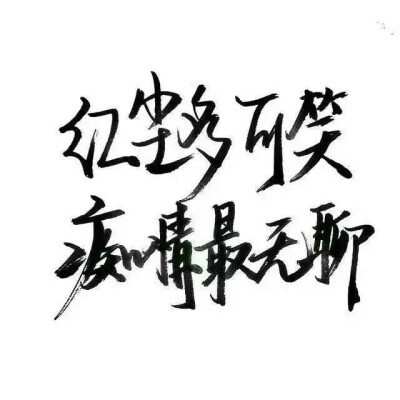 文字 干净 玩网专用 背景图 小清新