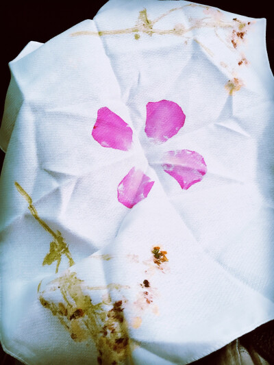 女儿的花瓣手帕