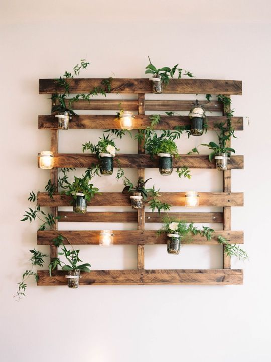 15 Indoor Garden Ideas for Wannabe Gardeners in Small Spaces | Apartment Therapy: