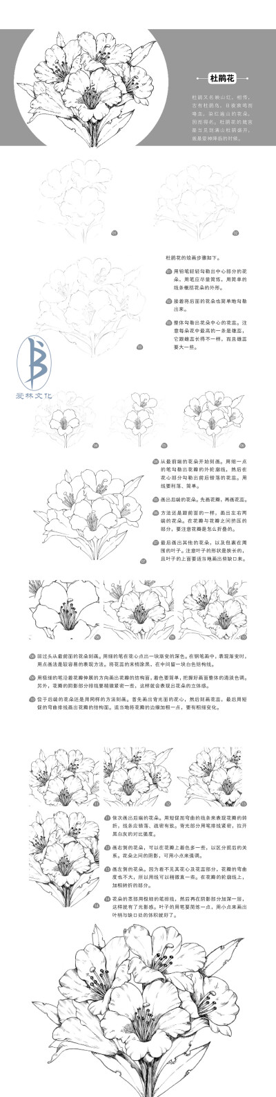 本案例摘自人民邮电出版社出版的《黑白绘：钢笔画完全自学教程》--爱林文化制作
