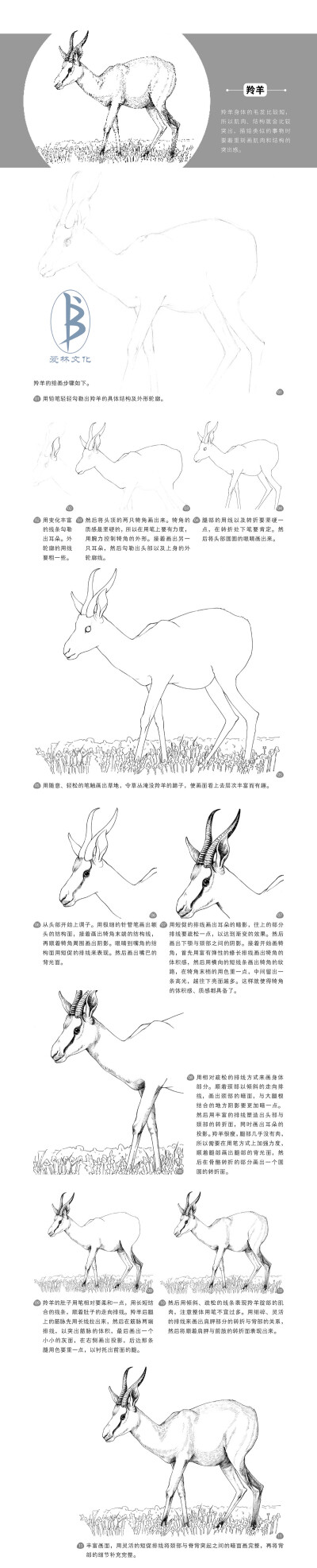 本案例摘自人民邮电出版社出版的《黑白绘：钢笔画完全自学教程》--爱林文化制作
