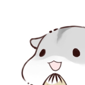 hamham小仓鼠