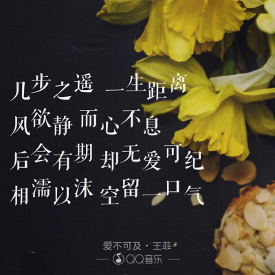 《爱不可及》王菲
林夕作词
《触不可及》主题曲
相爱不可相守
可爱可爱
不可及
唇离齿太远
遥不可及