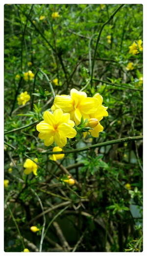 春暖花开