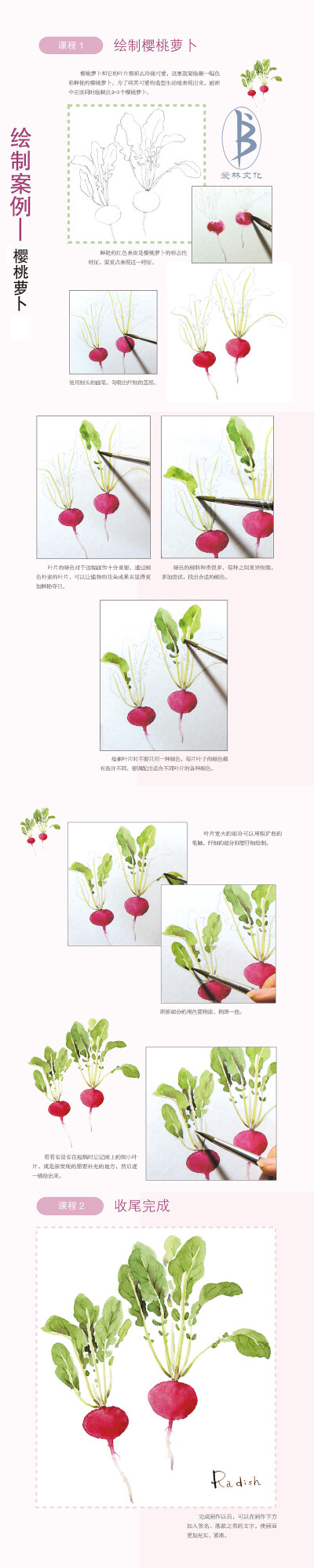 本案例摘自人民邮电出版社出版的《水彩花时间：60种你可能从来没画过的水色闲花》--爱林文化制作
