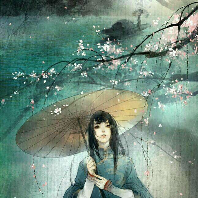 古风梅花意境美