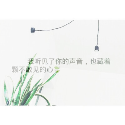 自制合成图片。by淅璃bilibili