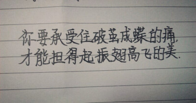 破茧成蝶 振翅高飞