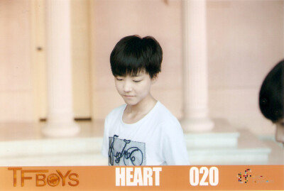 Heart 020