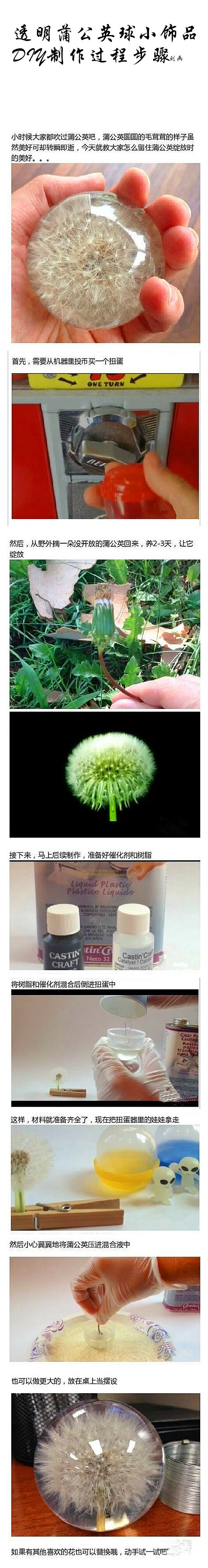 【透明蒲公英球小饰品DIY制作过程步骤】蒲公英是有着充满朝气的黄色花朵，花语是“无法停留的爱”。想不想把美好的蒲公英留住呢？教大家制作透明蒲公英球的方法，准备好扭蛋、树脂、催化剂，当然还有刚开花的蒲公英，跟着下面的图解DIY起来吧~~~【阿画】