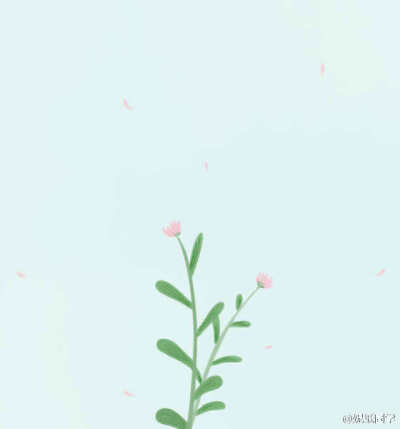 夏日里的一抹绿色。