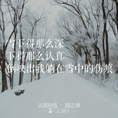 认真的雪-薛之谦