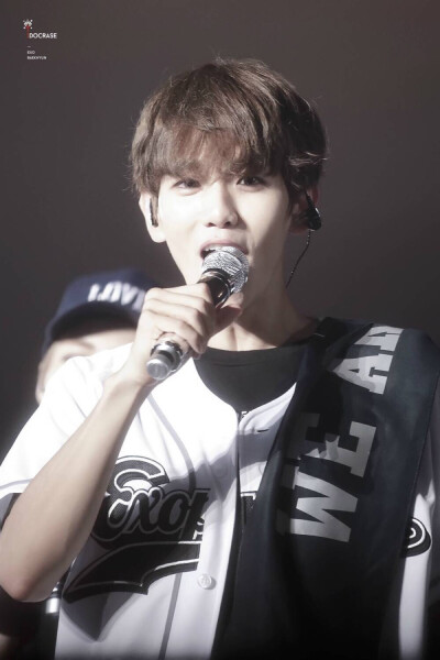 €logo ヾByun BaekHyun_边伯贤。