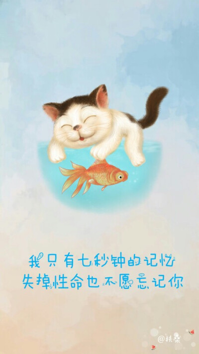 你是猫，我是鱼，纵然有千般的无奈，我还是不会忘记你。