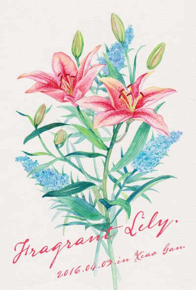 三木花草~婚礼桌签集合-三木焱圭（吴公子）_水彩,手绘,花卉_涂鸦王国插画