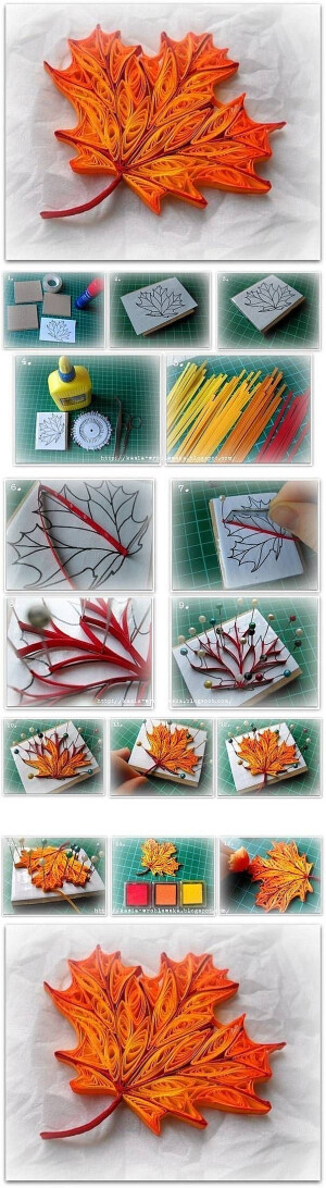 衍纸枫叶DIY Quilled Maple Leaf DIY Quilled Maple Leaf【阿画】