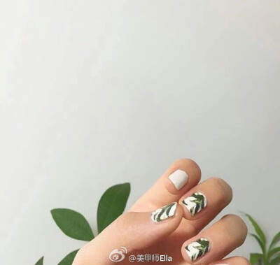 这个很有绿意，花纹我也很喜欢~