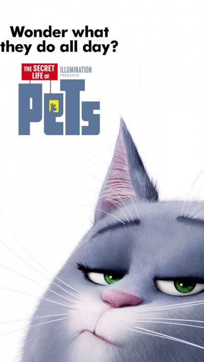 pets2