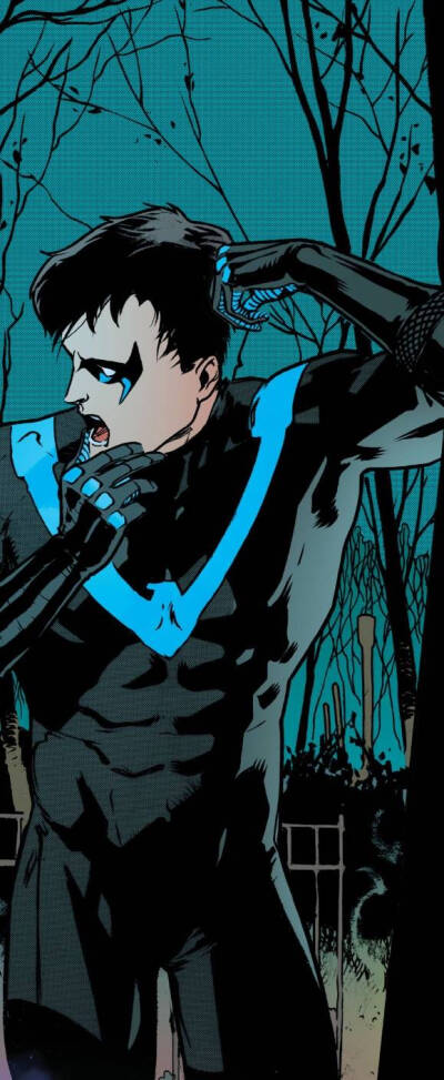 Dick Grayson
直到这一秒我才真正意识到大少的帅气