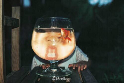 Kotori Kawashima | 摄影集《Mirai-Chan》