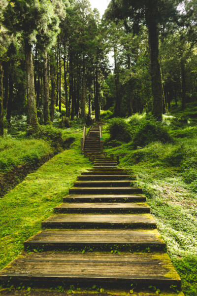  Alishan National Scenic Area, Taiwan(by katkwan)。台湾阿里山国家风景区。在台湾流传着这样一句话：“不到阿里山，不知台湾的美丽，不知台湾的伟大，不知台湾的宝藏。”这话虽然有些言过其实，但阿里山气势之雄…