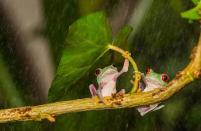 下雨了