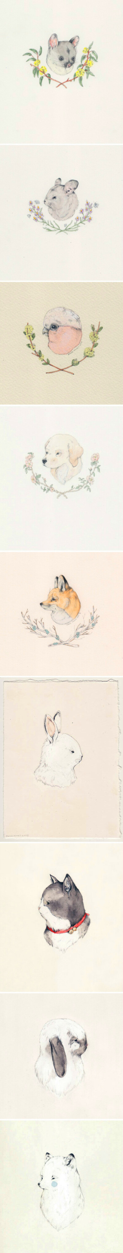 【绘画素材】清新淡雅的 彩铅+水彩 手绘小动物。作者：Sarah McNeil