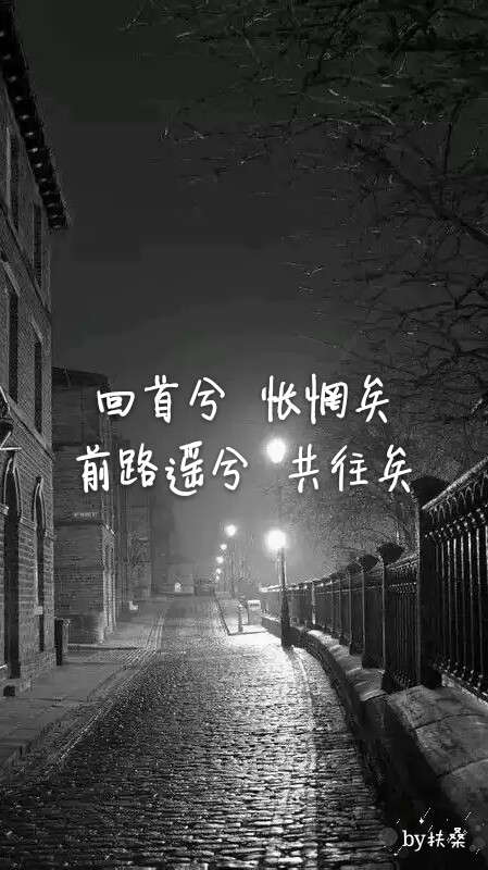 回首兮，怅惘矣，前路遥兮，共往矣。“喜欢的可以点赞收藏哦，自制壁纸不定时更新by彼岸扶桑”