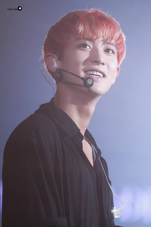 朴灿烈.ChanYeal.EXO