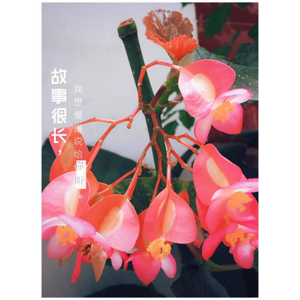 我不知道它'叫什么