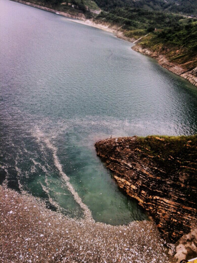 随浪随风飘荡