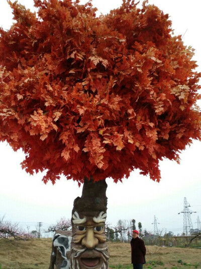 缘尽此生也守望