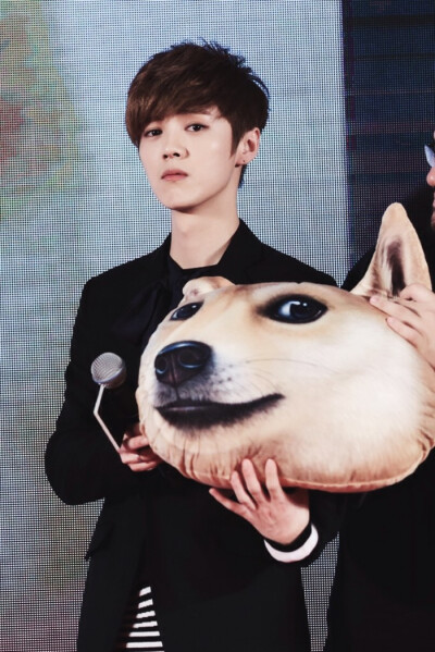 鹿晗 芭莎 实力撩妹 帅 国教鹿院长 傻狍’ 尚好的青春都是你 再遥远都跟随你 for 鹿晗。by荒野嫖客，