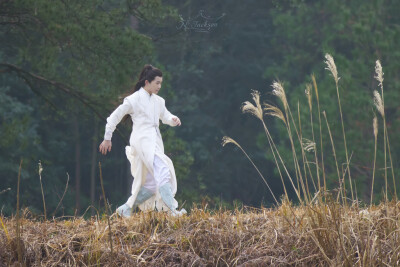 繁花落盡，綠意漸深，喧囂被無(wú)聲的風(fēng)驅(qū)盡，繞行之林深處，驀地見一少年，絕塵而去。