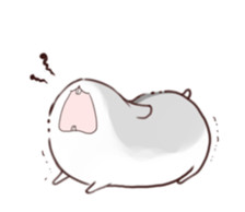 动漫卡通头像 简约 可爱 小仓鼠   头像  萌物   表情包素材