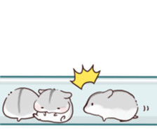 动漫卡通头像 简约 可爱 小仓鼠   头像  萌物   表情包素材