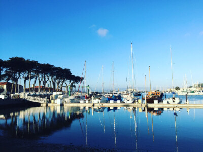 旧金山海湾游艇