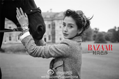 2014《Harper’s BAZAAR 时尚芭莎》十一月刊封面：angelababy（杨颖）（baby很适合欧式宫廷风格呢，一年内二登芭莎,果真是碉堡啊！）