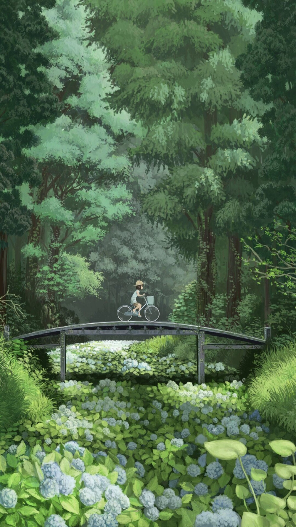 朵朵