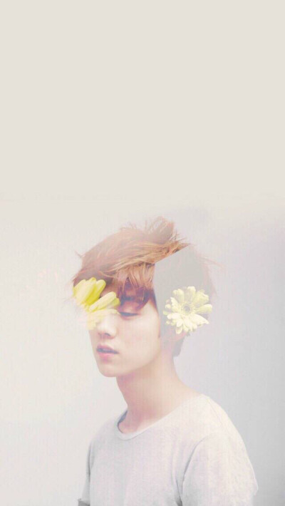 鹿晗与花