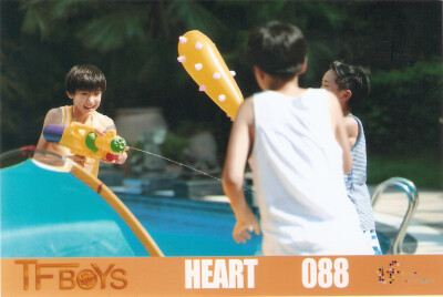 Heart 088