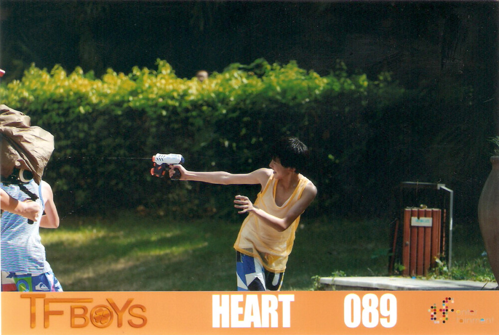 Heart 089