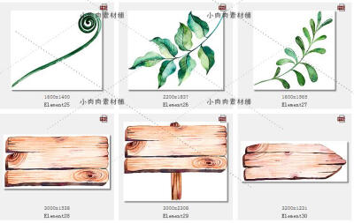 手绘水彩多树叶子植物木牌花环昆虫蝴蝶瓢虫免扣图设计素材PNG19