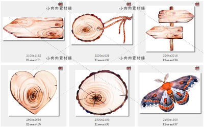 手绘水彩多树叶子植物木牌花环昆虫蝴蝶瓢虫免扣图设计素材PNG19