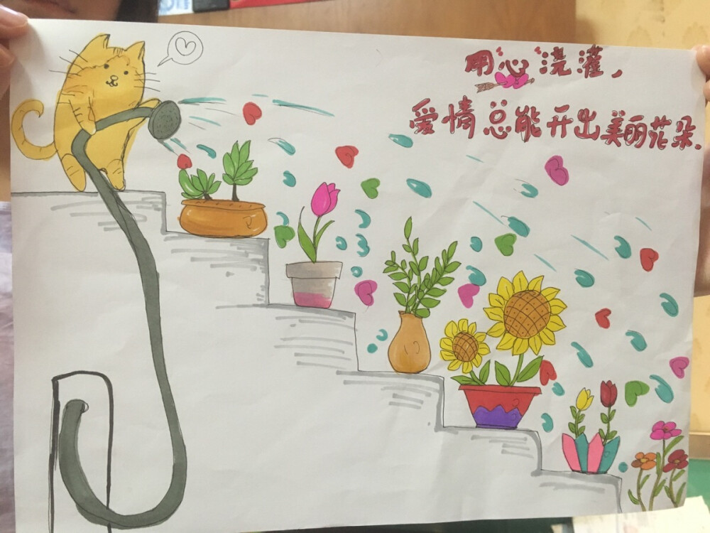 喵了个咪
