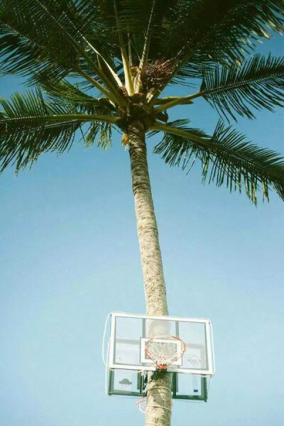 图片 背景 欧美 皮肤